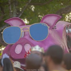 carna_porco_2020_dia_2_kffr4xqa3m.jpg